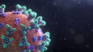 Fusion Medical Animation EAgGqOiDDMg Unsplash 300x169
